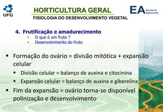 HORTICULTURA GERAL
FISIOLOGIA DO DESENVOLVIMENTO VEGETAL
4. Frutificação e amadurecimento
• O que é um fruto ?
• Desenvolvimento do fruto
▪ Formação do ovário = divisão mitótica + expansão
celular
▪ Divisão celular = balanço de auxina e citocinina
▪ Expansão celular = balanço de auxina e giberelina
▪ Fim da expansão = ovário torna-se disponível à
polinização e desenvolvimento
 