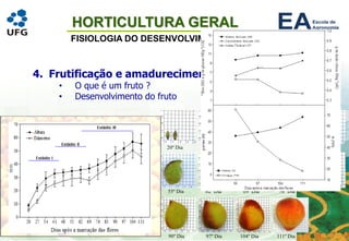 HORTICULTURA GERAL
FISIOLOGIA DO DESENVOLVIMENTO VEGETAL
4. Frutificação e amadurecimento
• O que é um fruto ?
• Desenvolvimento do fruto
 