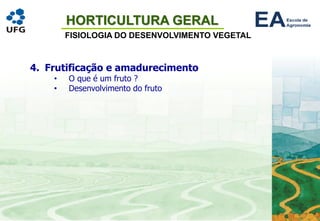 HORTICULTURA GERAL
FISIOLOGIA DO DESENVOLVIMENTO VEGETAL
4. Frutificação e amadurecimento
• O que é um fruto ?
• Desenvolvimento do fruto
 