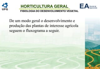 HORTICULTURA GERAL
FISIOLOGIA DO DESENVOLVIMENTO VEGETAL
De um modo geral o desenvolvimento e
produção das plantas de interesse agrícola
seguem o fluxograma a seguir.
 