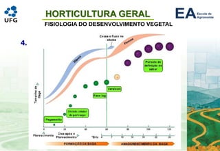 HORTICULTURA GERAL
FISIOLOGIA DO DESENVOLVIMENTO VEGETAL
4. Frutificação e amadurecimento
• O que é um fruto ?
• Origem
• Desenvolvimento do fruto
 