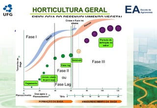 HORTICULTURA GERAL
FISIOLOGIA DO DESENVOLVIMENTO VEGETAL
4. Frutificação e amadurecimento
• O que é um fruto ?
• Origem
• Desenvolvimento do fruto
 