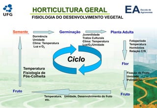 HORTICULTURA GERAL
FISIOLOGIA DO DESENVOLVIMENTO VEGETAL
Semente
Ciclo
Germinação Planta Adulta
Flor
Fruto
Fruto
Dormência
Umidade
Clima: Temperatura
Luz e O2
Juvenilidade
Tratos Culturais
Clima: Temperatura
Luz/O2/Umidade
Fotoperíodo
Temperatura
Hormônios
Relação C/N
Fixação do Fruto
Umidade
Polinização
Temperatura, Umidade, Desenvolvimento do fruto
etc.
Temperatura
Fisiologia de
Pós-Colheita
 