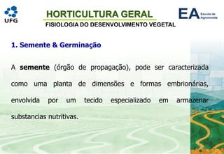 HORTICULTURA GERAL
FISIOLOGIA DO DESENVOLVIMENTO VEGETAL
1. Semente & Germinação
A semente (órgão de propagação), pode ser caracterizada
como uma planta de dimensões e formas embrionárias,
envolvida por um tecido especializado em armazenar
substancias nutritivas.
 