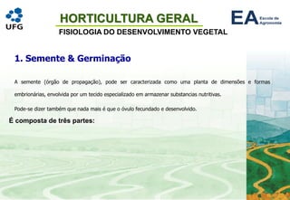 HORTICULTURA GERAL
FISIOLOGIA DO DESENVOLVIMENTO VEGETAL
1. Semente & Germinação
A semente (órgão de propagação), pode ser caracterizada como uma planta de dimensões e formas
embrionárias, envolvida por um tecido especializado em armazenar substancias nutritivas.
Pode-se dizer também que nada mais é que o óvulo fecundado e desenvolvido.
É composta de três partes:
 