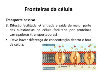 Fronteiras da célula
Transporte passivo
3. Difusão facilitada  entrada e saída de maior parte
   das substâncias na célula facilitada por proteínas
   carregadoras (transportadoras)
• Deve haver diferença de concentração dentro e fora
   da célula.
 