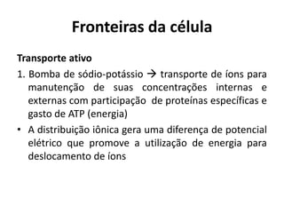 Fronteiras da célula
Transporte ativo
1. Bomba de sódio-potássio  transporte de íons para
   manutenção de suas concentrações internas e
   externas com participação de proteínas específicas e
   gasto de ATP (energia)
• A distribuição iônica gera uma diferença de potencial
   elétrico que promove a utilização de energia para
   deslocamento de íons
 