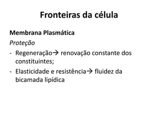 Fronteiras da célula
Membrana Plasmática
Proteção
- Regeneração renovação constante dos
  constituintes;
- Elasticidade e resistência fluidez da
  bicamada lipídica
 