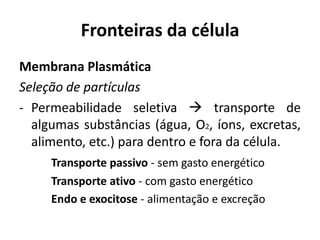 Fronteiras da célula
Membrana Plasmática
Seleção de partículas
- Permeabilidade seletiva  transporte de
  algumas substâncias (água, O2, íons, excretas,
  alimento, etc.) para dentro e fora da célula.
     Transporte passivo - sem gasto energético
     Transporte ativo - com gasto energético
     Endo e exocitose - alimentação e excreção
 