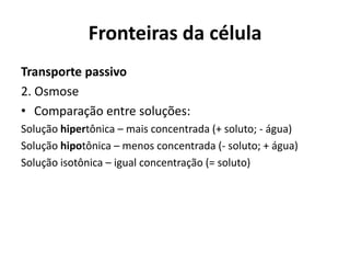 Fronteiras da célula
Transporte passivo
2. Osmose
• Comparação entre soluções:
Solução hipertônica – mais concentrada (+ soluto; - água)
Solução hipotônica – menos concentrada (- soluto; + água)
Solução isotônica – igual concentração (= soluto)
 