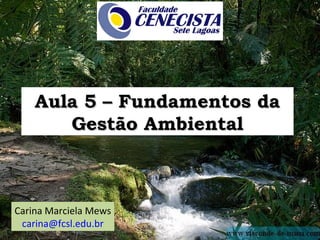 Aula 5 – Fundamentos da
       Gestão Ambiental



Carina Marciela Mews
 carina@fcsl.edu.br
 