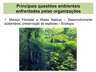 Principais questões ambientais
      enfrentadas pelas organizações
 Manejo Florestal e Matas Nativas – Desenvolvimento
sustentável, preservação de espécies – Ecologia.
 