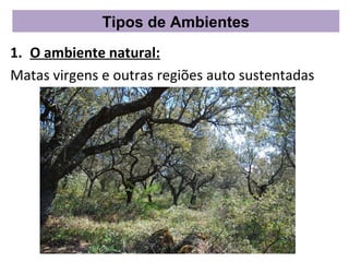 Tipos de Ambientes
1. O ambiente natural:
Matas virgens e outras regiões auto sustentadas
     Ambiente                 Ambiente
                       X
      natural                  artificial
 