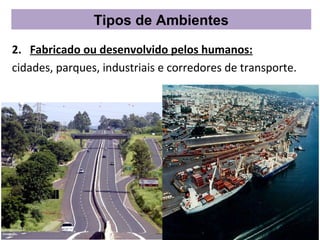 Tipos de Ambientes

2. Fabricado ou desenvolvido pelos humanos:
cidades, parques, industriais e corredores de transporte.
 