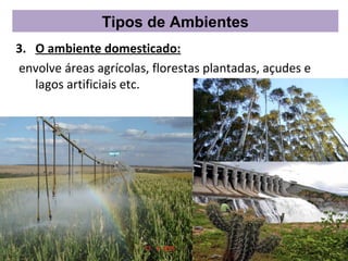 Tipos de Ambientes
3. O ambiente domesticado:
envolve áreas agrícolas, florestas plantadas, açudes e
   lagos artificiais etc.
 