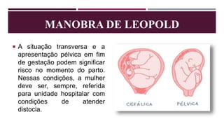 MANOBRA DE LEOPOLD
 A situação transversa e a
apresentação pélvica em fim
de gestação podem significar
risco no momento do parto.
Nessas condições, a mulher
deve ser, sempre, referida
para unidade hospitalar com
condições de atender
distocia.
 