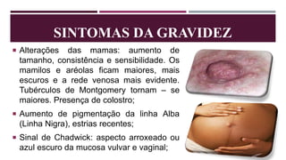 SINTOMAS DA GRAVIDEZ
 Alterações das mamas: aumento de
tamanho, consistência e sensibilidade. Os
mamilos e aréolas ficam maiores, mais
escuros e a rede venosa mais evidente.
Tubérculos de Montgomery tornam – se
maiores. Presença de colostro;
 Aumento de pigmentação da linha Alba
(Linha Nigra), estrias recentes;
 Sinal de Chadwick: aspecto arroxeado ou
azul escuro da mucosa vulvar e vaginal;
 