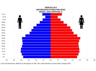 GRÁFICO 38.4
                                                        DISTRIBUIÇÃO ETÁRIA POR SEXO
                                                           BRASIL, 2020 (HIPÓTESE 1)
  80 e +

  75-79

  70-74

 65-69

 60-64

 55-59

 50-54

 45-49

 40-44

 35-39

 30-34

 25-29

 20-24

 15-19

 10-14

   5-9

   0-4

           6%      5%          4%         3%          2%         1%          0%         1%          2%            3%   4%   5%   6%

Fonte dos Dados Brutos: IBGE/Censo Demográfico de 1980, 1991 e 2000; Ministério da Saúde (SIM). Projeções IPEA.
 