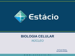 BIOLOGIA CELULAR
NÚCLEO
Profª igor Martins
ESTÁCIO-FATERN
 