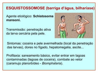 ESQUISTOSSOMOSE (barriga d’água, bilharíase) 
Agente etiológico: Schistosoma 
mansoni. 
Transmissão: penetração ativa 
da larva cercária pela pele. 
Sintomas: coceira e pele avermelhada (local da penetração 
das larvas), dores no fígado, hepatomegalia, ascite... 
Profilaxia: saneamento básico, evitar entrar em lagoas 
contaminadas (lagoas de coceira), combate ao vetor 
(caramujo planorbídeo - Biomphalaria). 
 