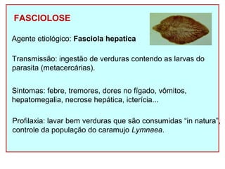 FASCIOLOSE 
Agente etiológico: Fasciola hepatica 
Transmissão: ingestão de verduras contendo as larvas do 
parasita (metacercárias). 
Sintomas: febre, tremores, dores no fígado, vômitos, 
hepatomegalia, necrose hepática, icterícia... 
Profilaxia: lavar bem verduras que são consumidas “in natura”, 
controle da população do caramujo Lymnaea. 
 