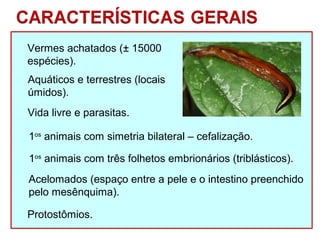 Vermes achatados (± 15000 
espécies). 
Aquáticos e terrestres (locais 
úmidos). 
Vida livre e parasitas. 
1os animais com simetria bilateral – cefalização. 
1os animais com três folhetos embrionários (triblásticos). 
Acelomados (espaço entre a pele e o intestino preenchido 
pelo mesênquima). 
Protostômios. 
 