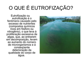 O QUE É EUTROFIZAÇÃO?
Eutrofização ou
eutroficação é o
fenômeno causado pelo
excesso de nutrientes
(compostos químicos
ricos em fósforo ou
nitrogênio), o que leva à
proliferação excessiva de
algas, que, ao entrarem
em decomposição, levam
ao aumento do número
de microrganismos e à
conseqüente
deterioração da
qualidade do corpo de
água.
 