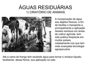 ÁGUAS RESIDUÁRIAS
1) CRIATÓRIO DE ANIMAIS
A incorporação de água
aos dejetos frescos, a fim
de facilitar o transporte e,
principalmente a aplicação
desses resíduos em áreas
de cultivo agrícola, tem
sido prática freqüente em
muitos países,
notadamente nos que tem
mais avançada tecnologia
agropecuária.
Até a cama de frango tem recebido água para tornar o resíduo líquido,
facilitando, dessa forma, sua aplicação no solo.
 