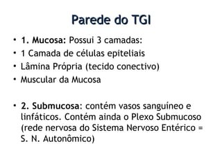 Parede do TGIParede do TGI
• 1. Mucosa: Possui 3 camadas:
• 1 Camada de células epiteliais
• Lâmina Própria (tecido conectivo)
• Muscular da Mucosa
• 2. Submucosa: contém vasos sanguíneo e
linfáticos. Contém ainda o Plexo Submucoso
(rede nervosa do Sistema Nervoso Entérico =
S. N. Autonômico)
 