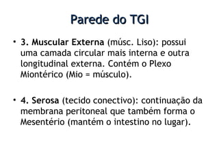 Parede do TGIParede do TGI
• 3. Muscular Externa (músc. Liso): possui
uma camada circular mais interna e outra
longitudinal externa. Contém o Plexo
Miontérico (Mio = músculo).
• 4. Serosa (tecido conectivo): continuação da
membrana peritoneal que também forma o
Mesentério (mantém o intestino no lugar).
 