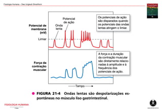 Fisiologia Humana – Dee Unglaub Silverthorn
 