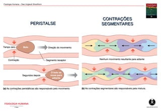 Fisiologia Humana – Dee Unglaub Silverthorn
PERISTALSEPERISTALSE
CONTRAÇÕESCONTRAÇÕES
SEGMENTARESSEGMENTARES
 
