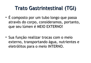 Trato Gastrintestinal (TGI)Trato Gastrintestinal (TGI)
• É composto por um tubo longo que passa
através do corpo, consideramos, portanto,
que seu lúmen é MEIO EXTERNO!
• Sua função realizar trocas com o meio
externo, transportando água, nutrientes e
eletrólitos para o meio INTERNO.
 