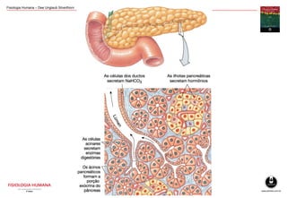 Fisiologia Humana – Dee Unglaub Silverthorn
 