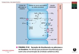 Fisiologia Humana – Dee Unglaub Silverthorn
 