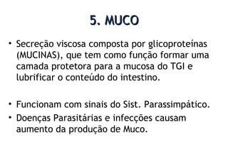 5. MUCO5. MUCO
• Secreção viscosa composta por glicoproteínas
(MUCINAS), que tem como função formar uma
camada protetora para a mucosa do TGI e
lubrificar o conteúdo do intestino.
• Funcionam com sinais do Sist. Parassimpático.
• Doenças Parasitárias e infecções causam
aumento da produção de Muco.
 