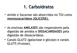 1. Carboidratos1. Carboidratos
• Amido e Sacarose são absorvidos no TGI como
monossacarídeos (GLICOSE).
• As enzimas AMILASES são responsáveis pela
digestão de amidos e DISSACARIDASES pela
digestão de dissacarídeos.
• Canais GLUT2 (galactose e glicose) e canais
GLUT5 (frutose).
 
