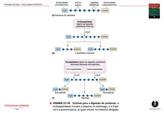 Fisiologia Humana – Dee Unglaub Silverthorn
 