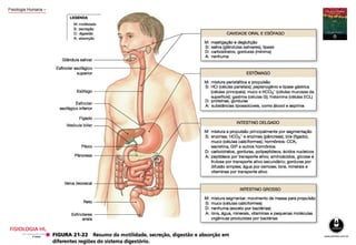Fisiologia Humana – Dee Unglaub Silverthorn
 