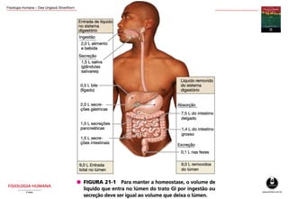 Fisiologia Humana – Dee Unglaub Silverthorn
 