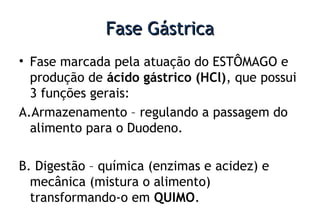 Fase GástricaFase Gástrica
• Fase marcada pela atuação do ESTÔMAGO e
produção de ácido gástrico (HCl), que possui
3 funções gerais:
A.Armazenamento – regulando a passagem do
alimento para o Duodeno.
B. Digestão – química (enzimas e acidez) e
mecânica (mistura o alimento)
transformando-o em QUIMO.
 