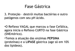 Fase Gástrica
3. Proteção – destrói muitas bactérias e outro
patógenos com seu pH ácido.
•O Reflexo VAGAL que marcou a fase Cefálica,
agora inicia o Reflexo CURTO na fase Gástrica
(SNEntérico).
•Temos a atuação das enzimas PEPSINA
(proteínas) e a LIPASE gástrica (age só em 10%
dos lipídeos).
 