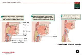 Fisiologia Humana – Dee Unglaub Silverthorn
 