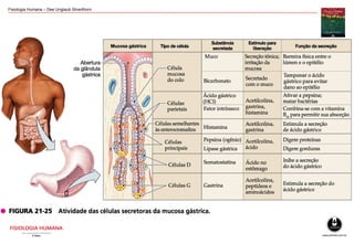 Fisiologia Humana – Dee Unglaub Silverthorn
 