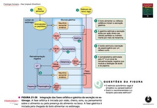 Fisiologia Humana – Dee Unglaub Silverthorn
 