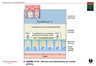 Fisiologia Humana – Dee Unglaub Silverthorn
 