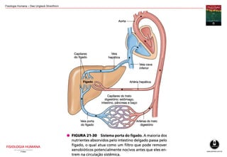 Fisiologia Humana – Dee Unglaub Silverthorn
 
