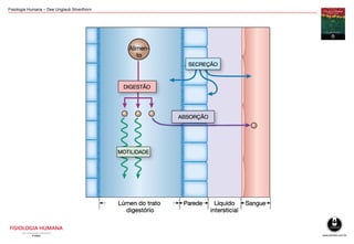 Fisiologia Humana – Dee Unglaub Silverthorn
 