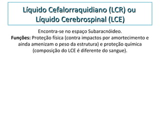 Líquido Cefalorraquidiano (LCR) ouLíquido Cefalorraquidiano (LCR) ou
Líquido Cerebrospinal (LCE)Líquido Cerebrospinal (LCE)
Encontra-se no espaço Subaracnóideo.
Funções: Proteção física (contra impactos por amortecimento e
ainda amenizam o peso da estrutura) e proteção química
(composição do LCE é diferente do sangue).
 