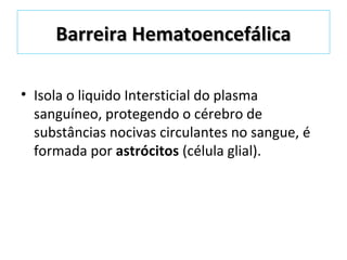 Barreira HematoencefálicaBarreira Hematoencefálica
• Isola o liquido Intersticial do plasma
sanguíneo, protegendo o cérebro de
substâncias nocivas circulantes no sangue, é
formada por astrócitos (célula glial).
 